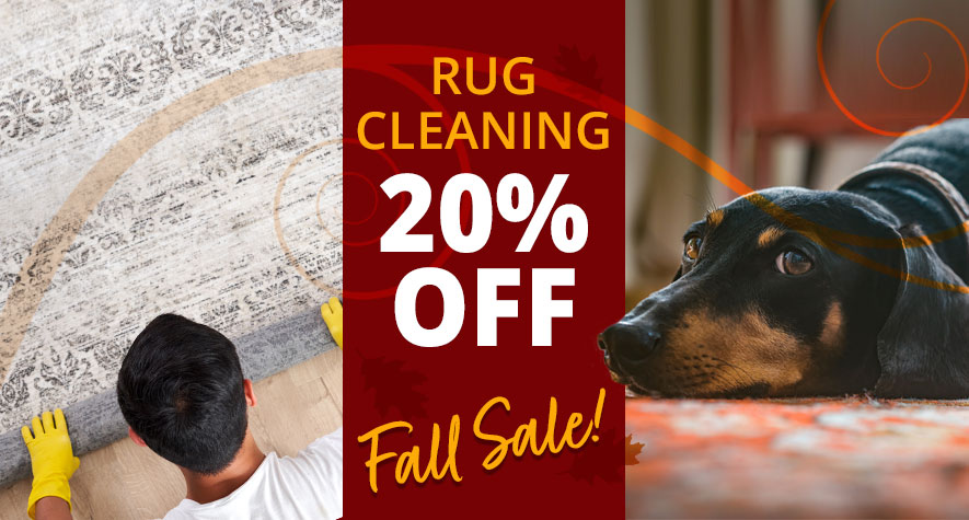 Fall Cleaning Sale